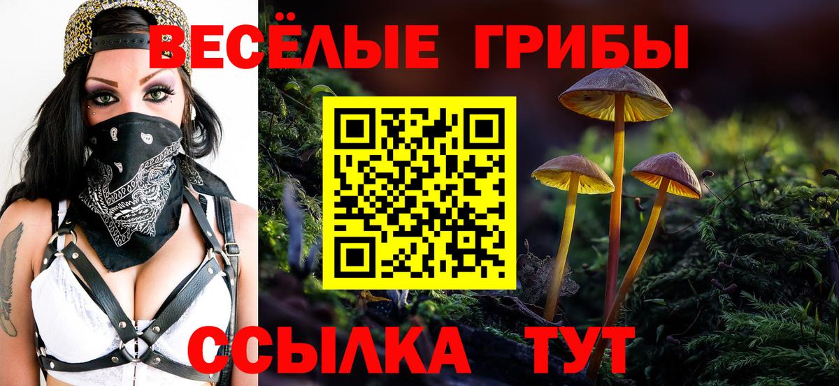 Псилоцибиновые грибы Magic Shrooms  Вход с VPN  Артём 